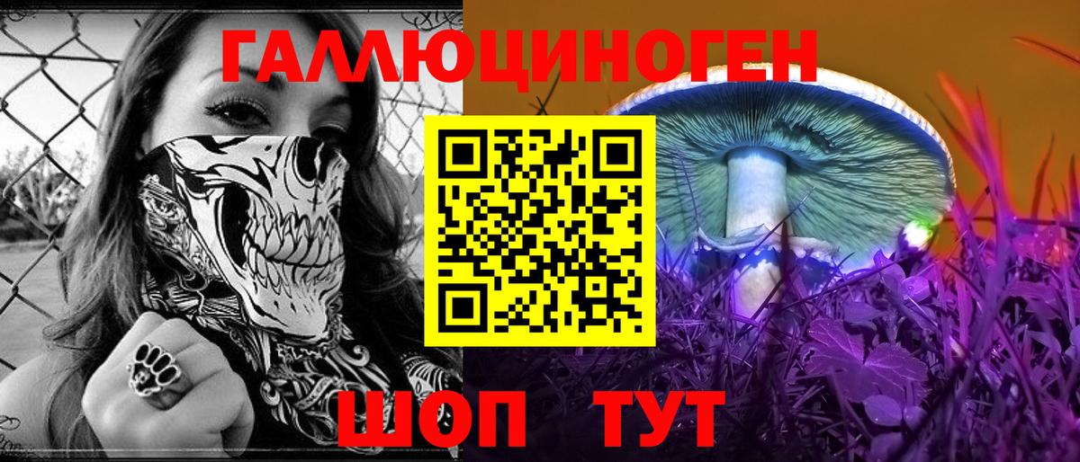 Коломна  Галлюциногенные грибы прущие грибы  Вход с VPN 
